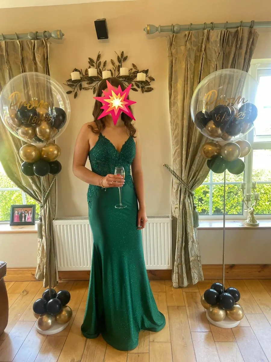 Prom /Debs Dress - Image 4