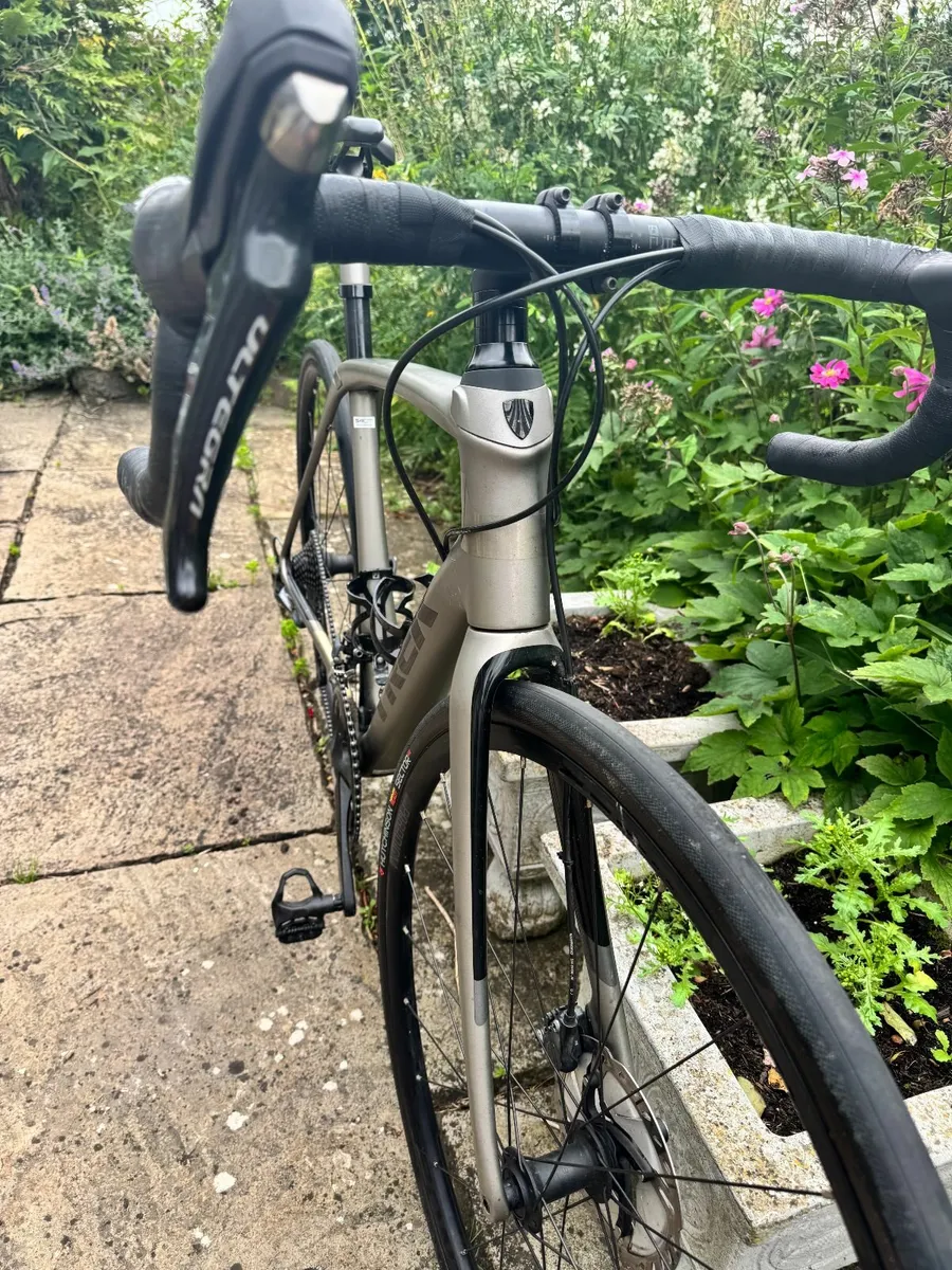 Trek Domane SL6 Carbon Frame - 54cm - Image 2