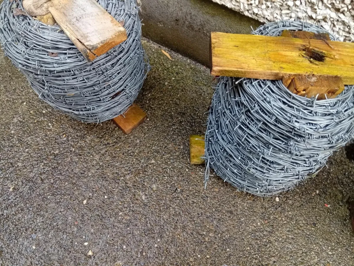 Barbe wire - Image 1