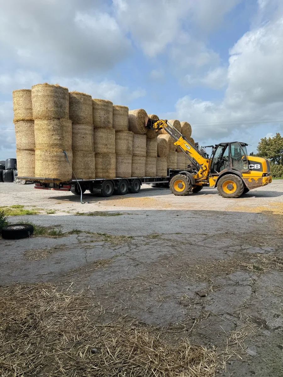 Straw - Image 1