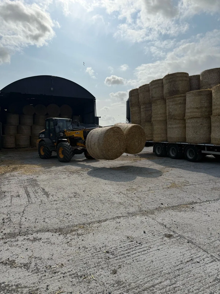 Straw - Image 2