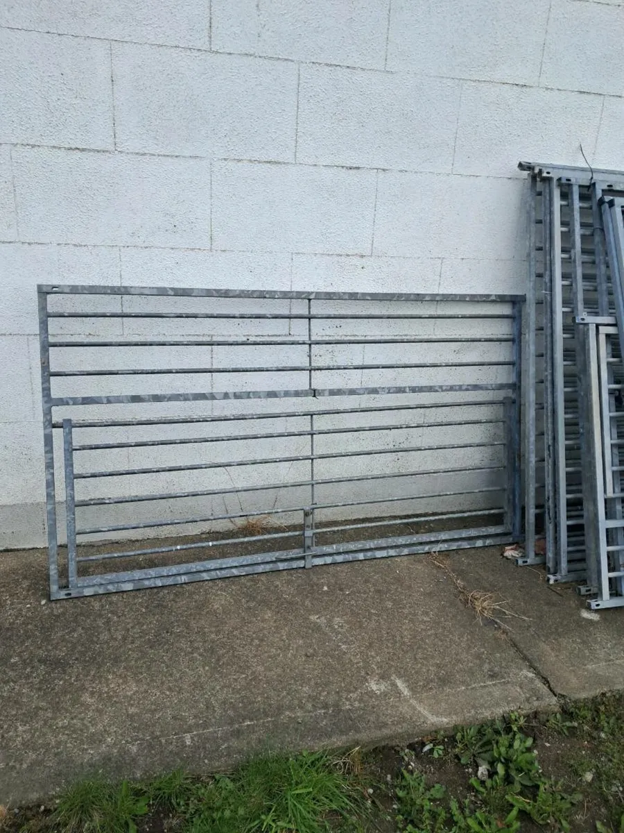 Cage - Image 1