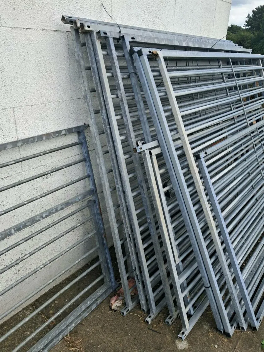 Cage - Image 2