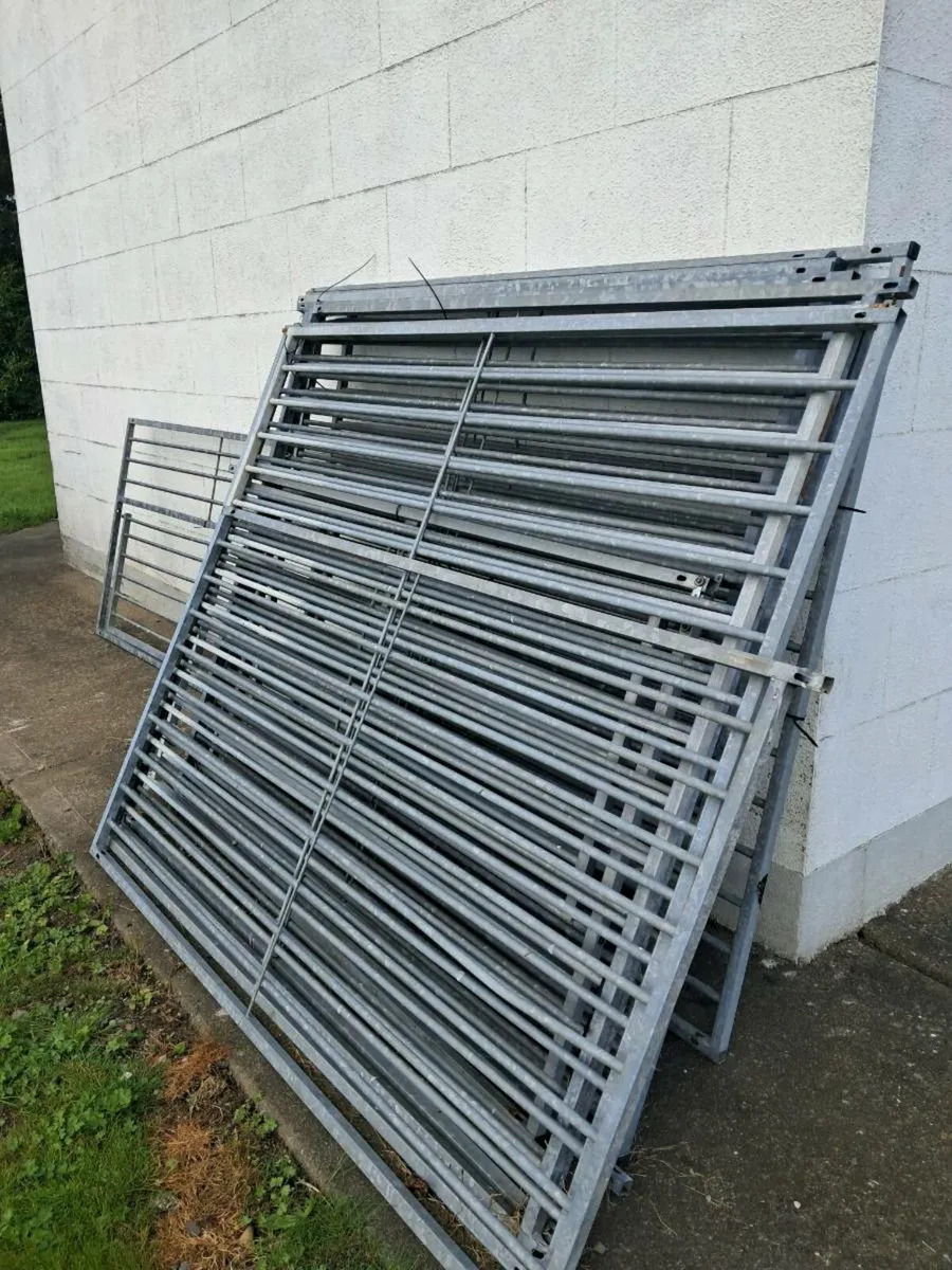 Cage - Image 3