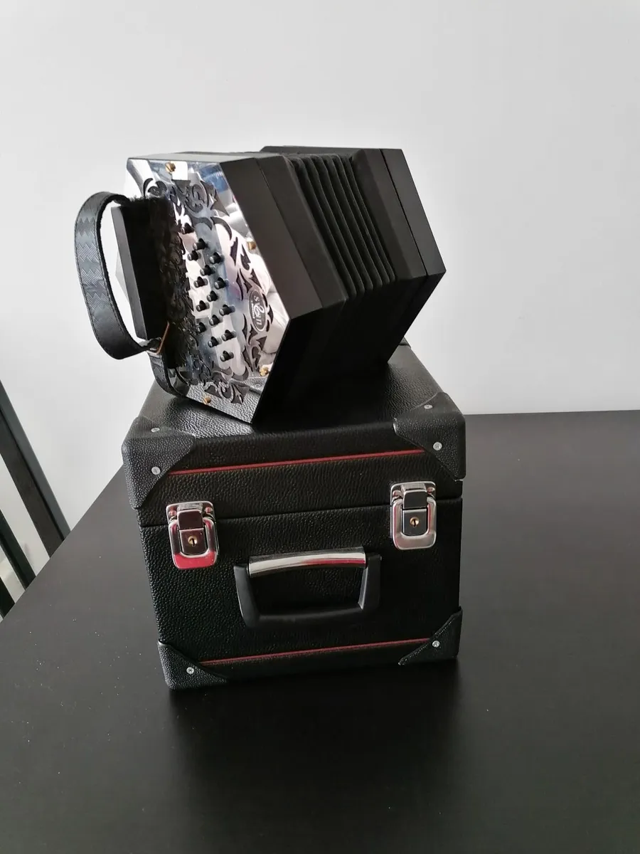 concertina - Image 4