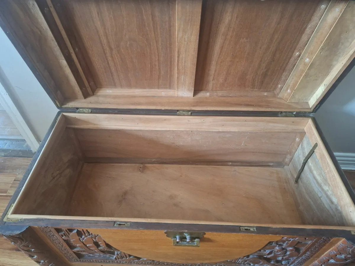 Campour trunk - Image 4