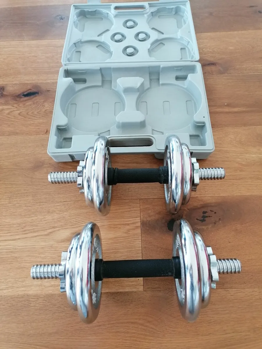 DumbBells - Image 3