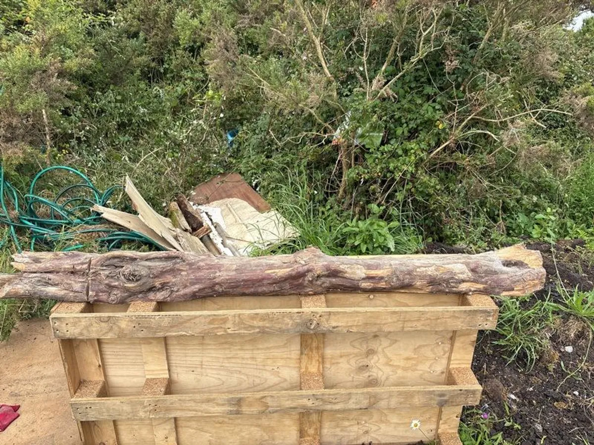 yew wood for wood turning - Image 1