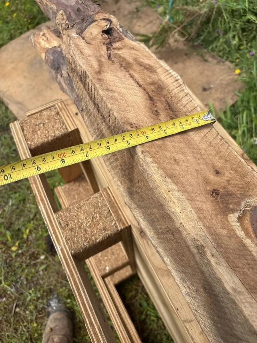 yew wood for wood turning - Image 4