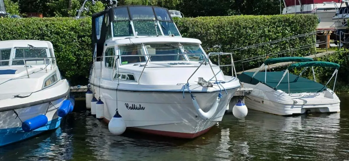 Roasebank 31 / Aquafibre - Image 1