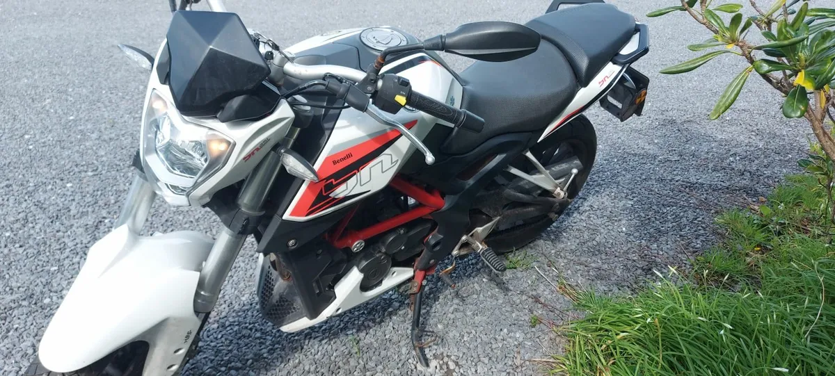 BENELLI Other 2018