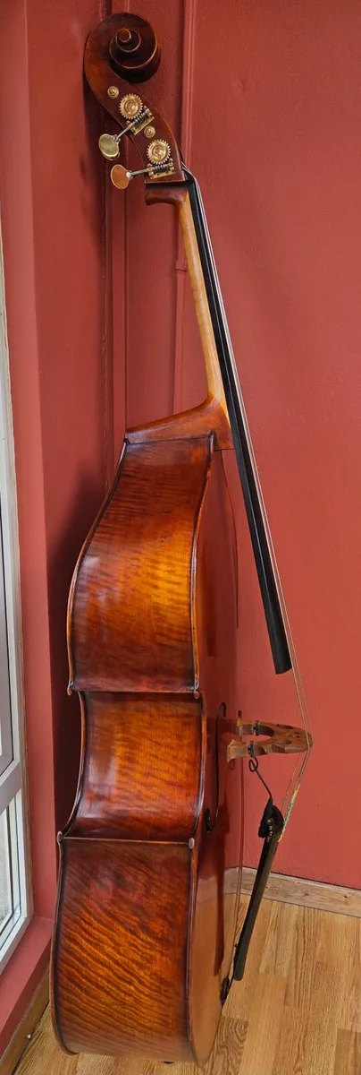 Double Bass - Image 2