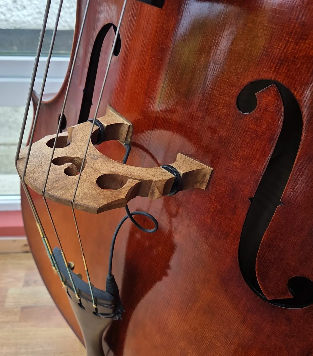 Double Bass - Image 3