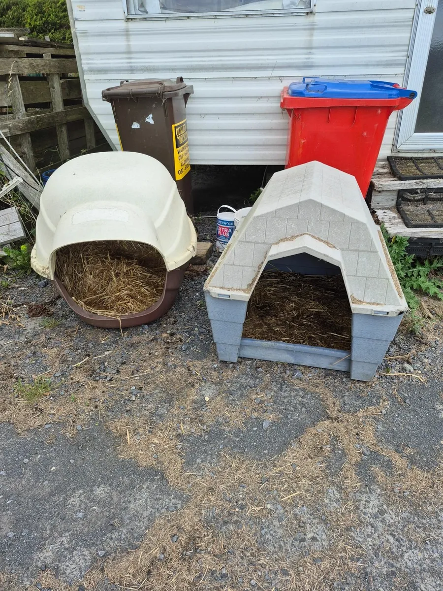 Dog Kennels & travel crate - Image 2
