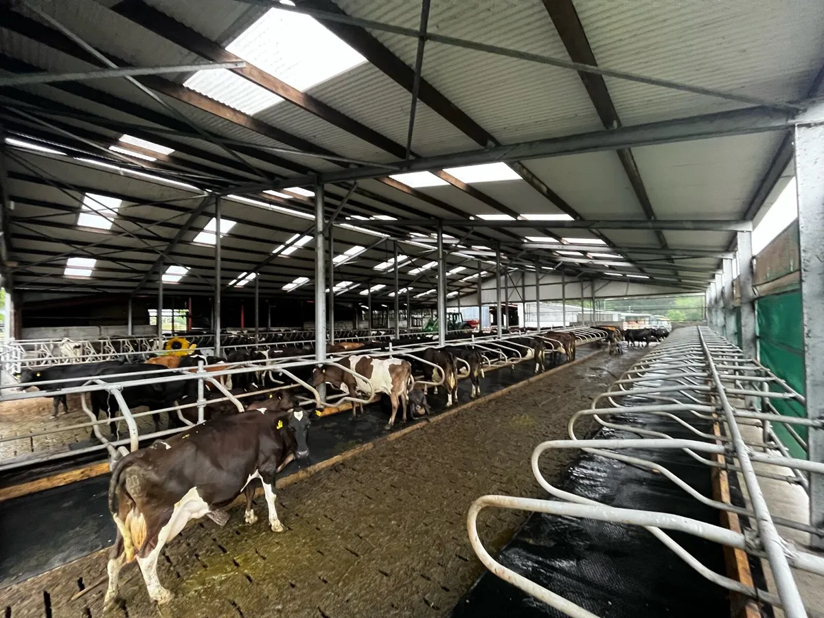 Relief milker available and general farm worker - Image 3