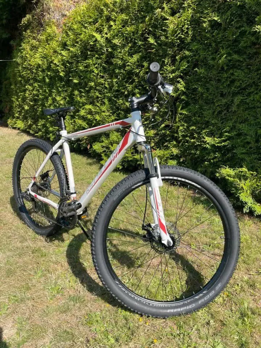 Mountainbike KS Cycling Sharp MTB - Image 1