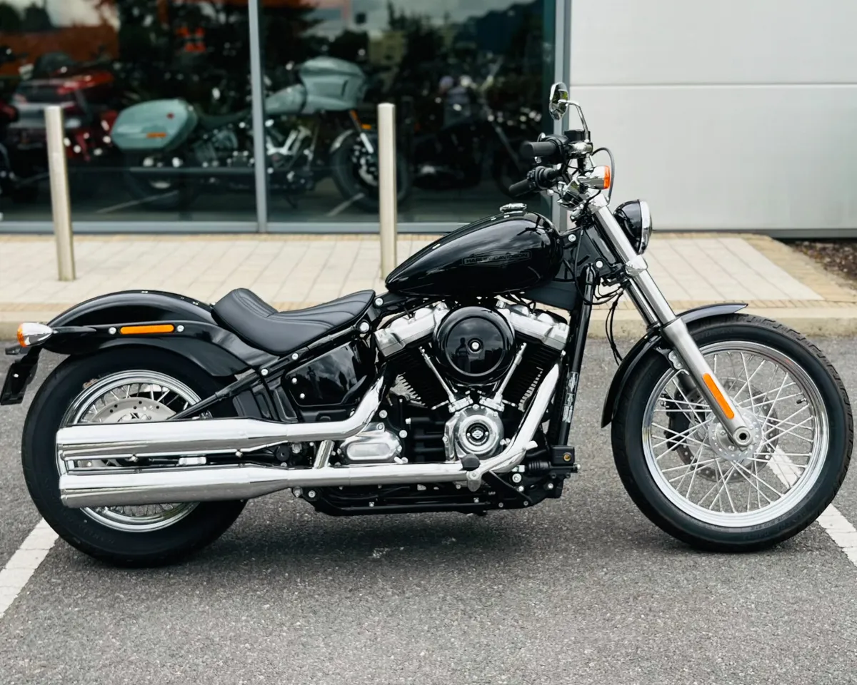 HARLEY-DAVIDSON SOFTAIL CUSTOM - Image 1