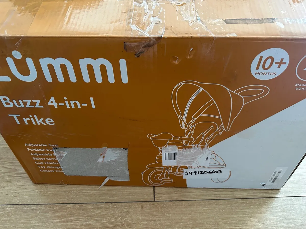Zummi Buzz 4-1 Trike - Image 1