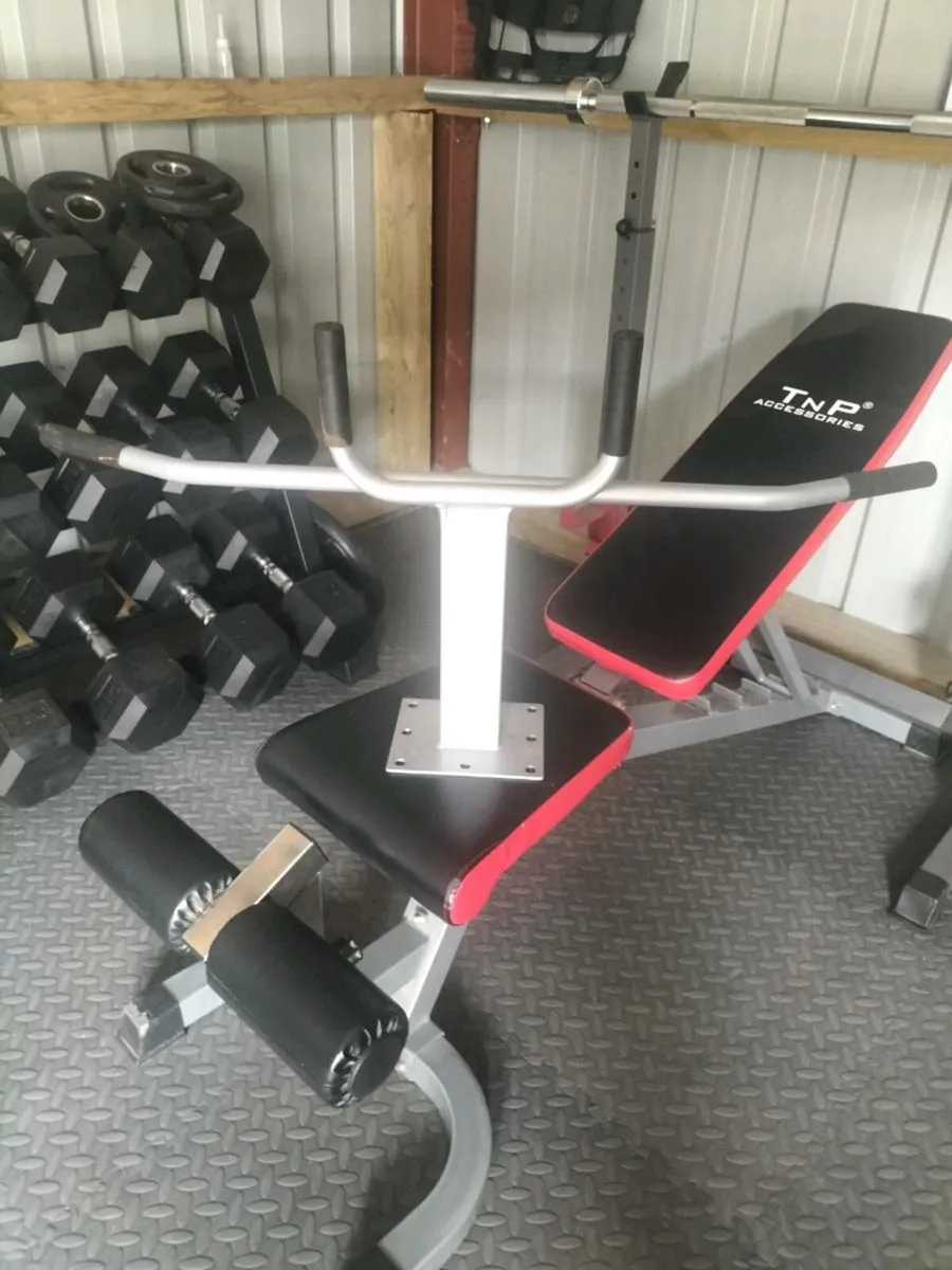 Pull/chin ups