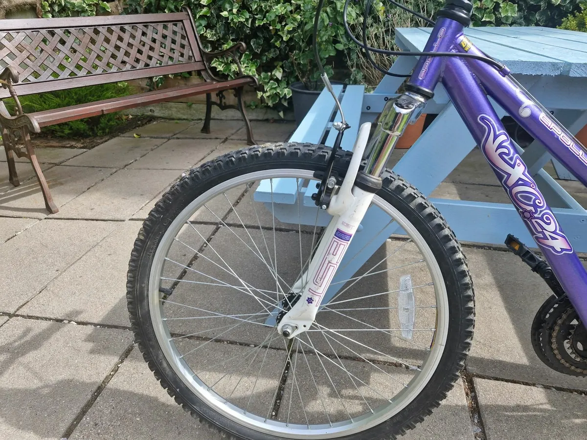 Mountain bike apollo XC24 - Image 3