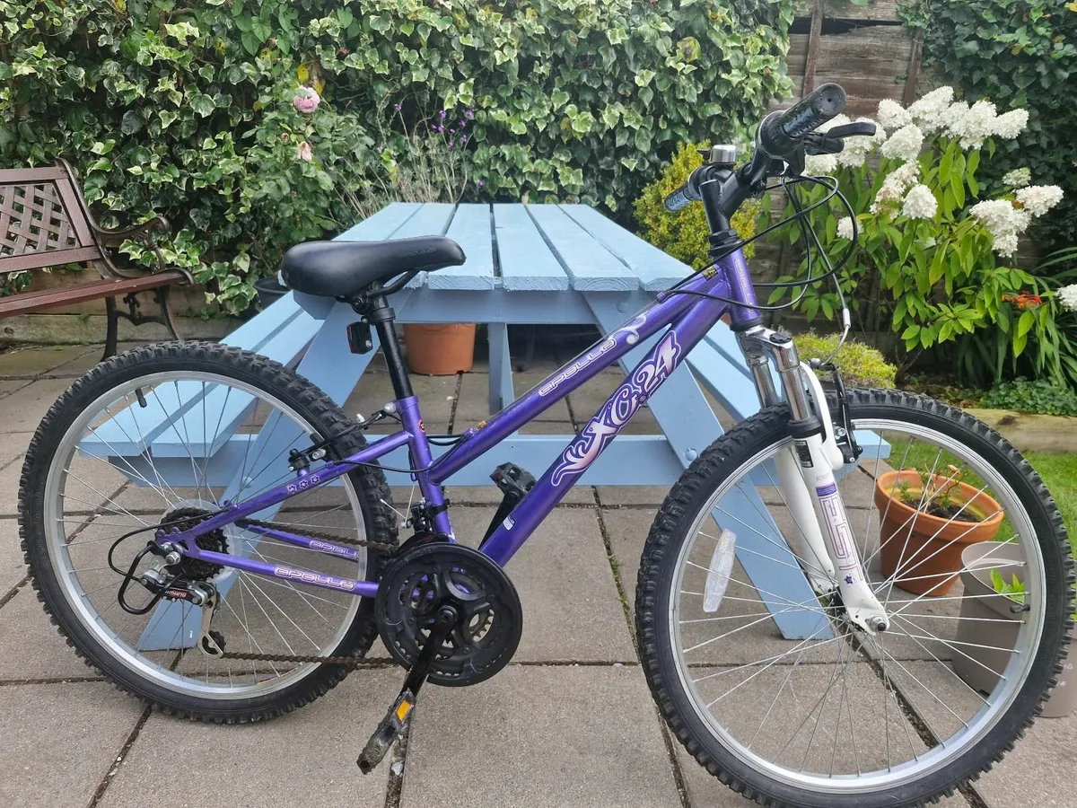 Mountain bike apollo XC24 - Image 1