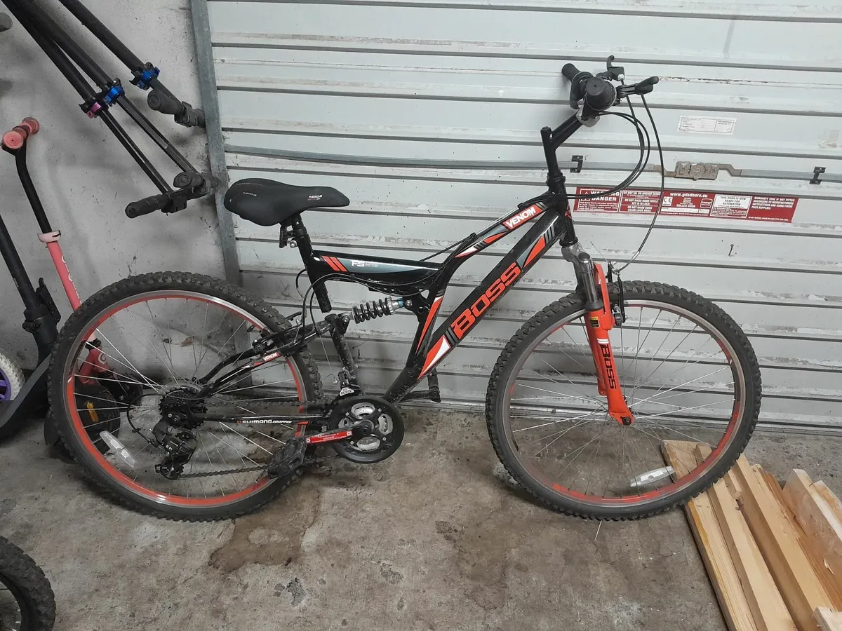 Adult Mountain Bike