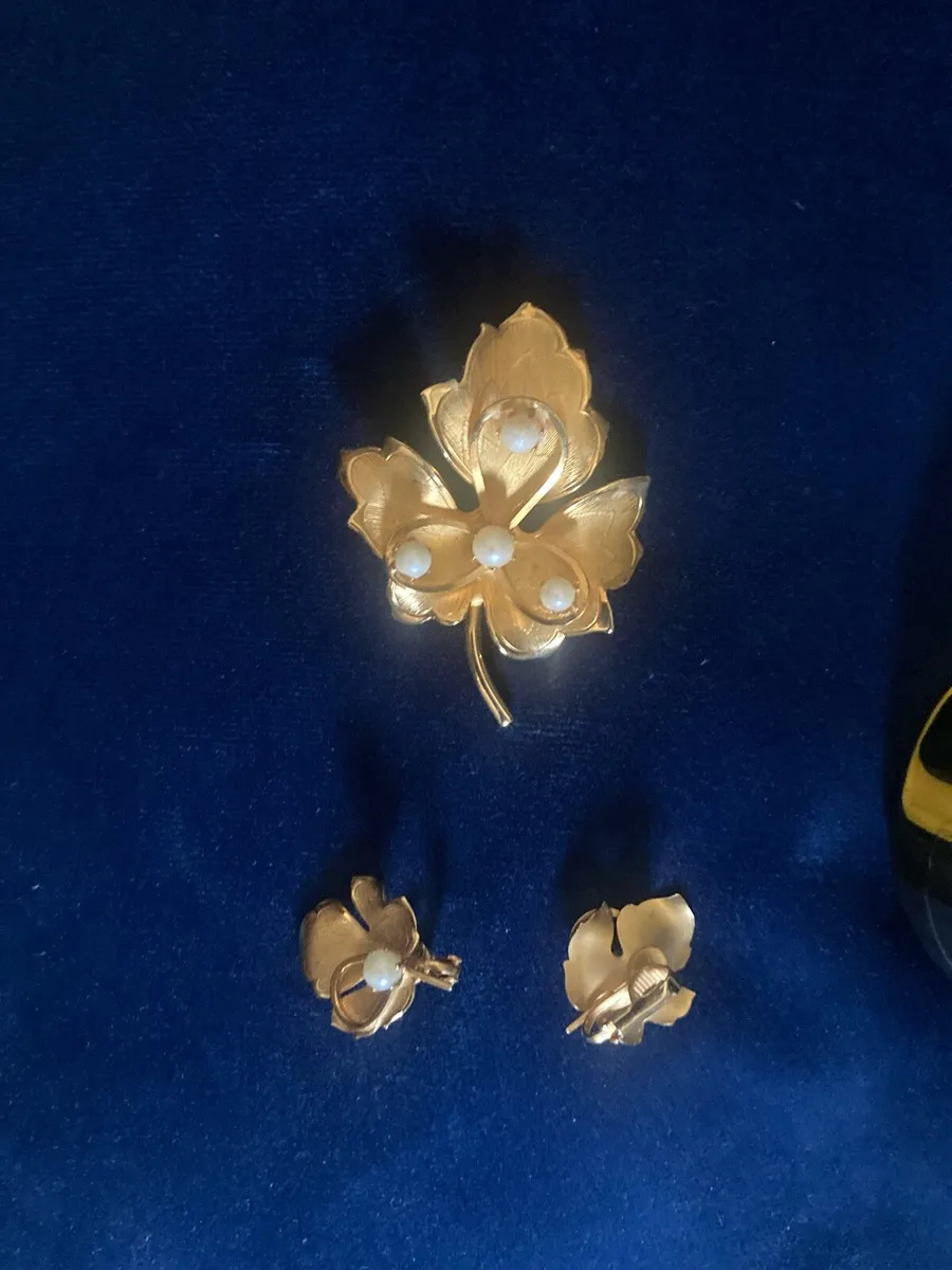 Vintage Brooch & Earrings - Image 1