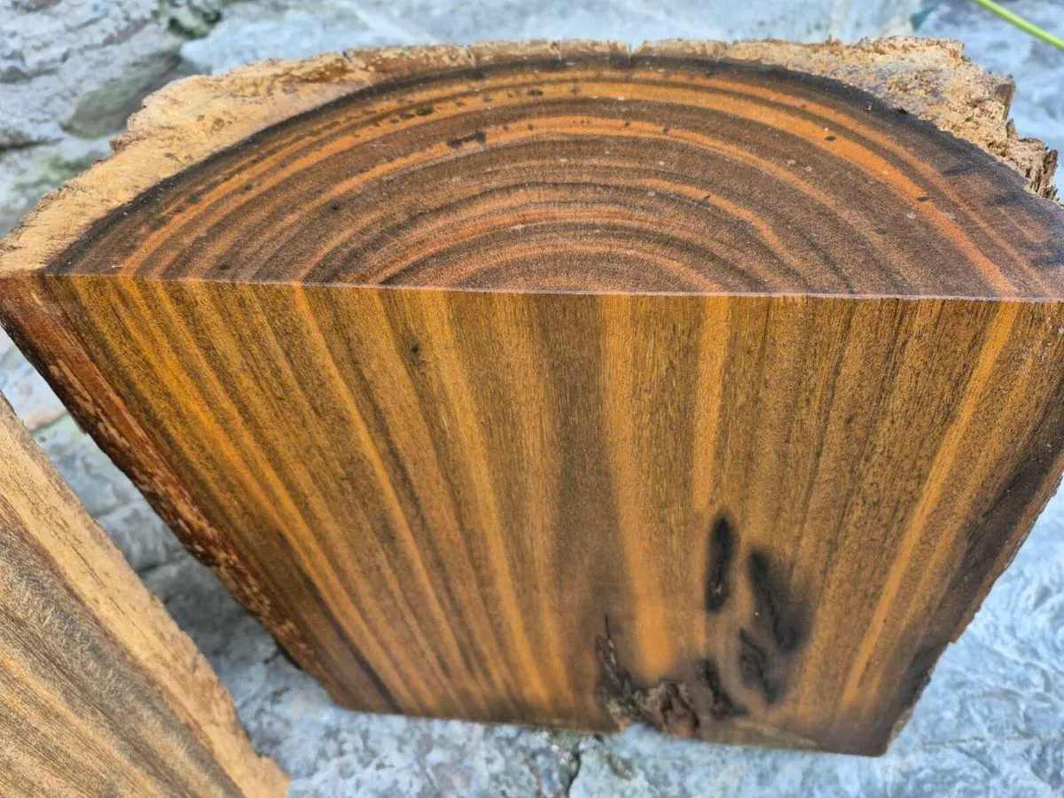 Timber beams - Image 3