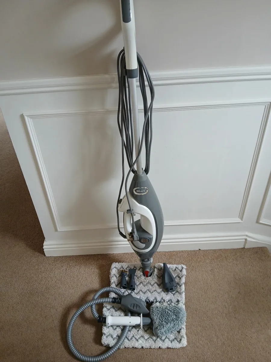 Steam cleaner