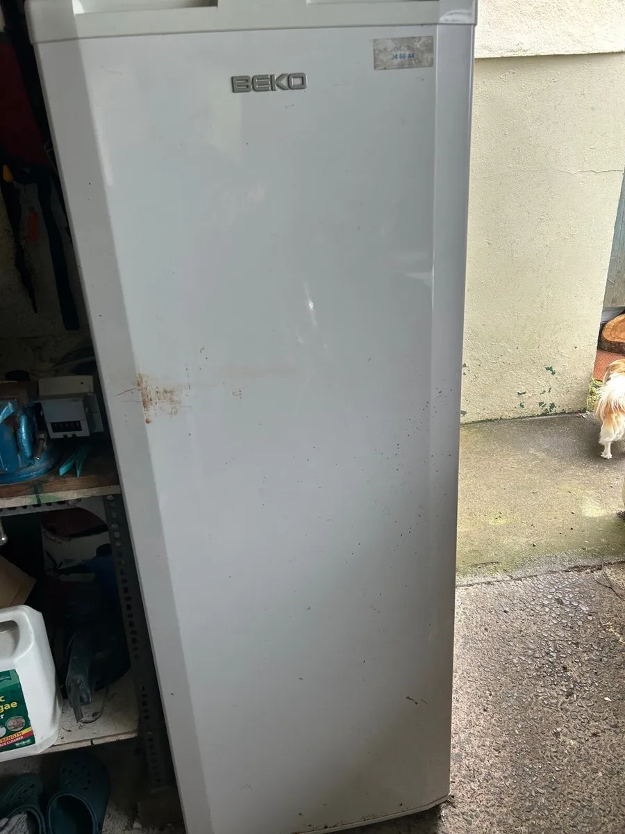 Tall Larder fridge and large chest freezer - Image 1