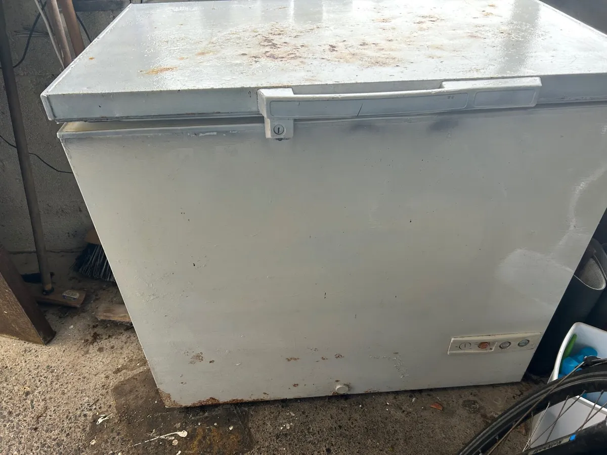 Tall Larder fridge and large chest freezer - Image 2