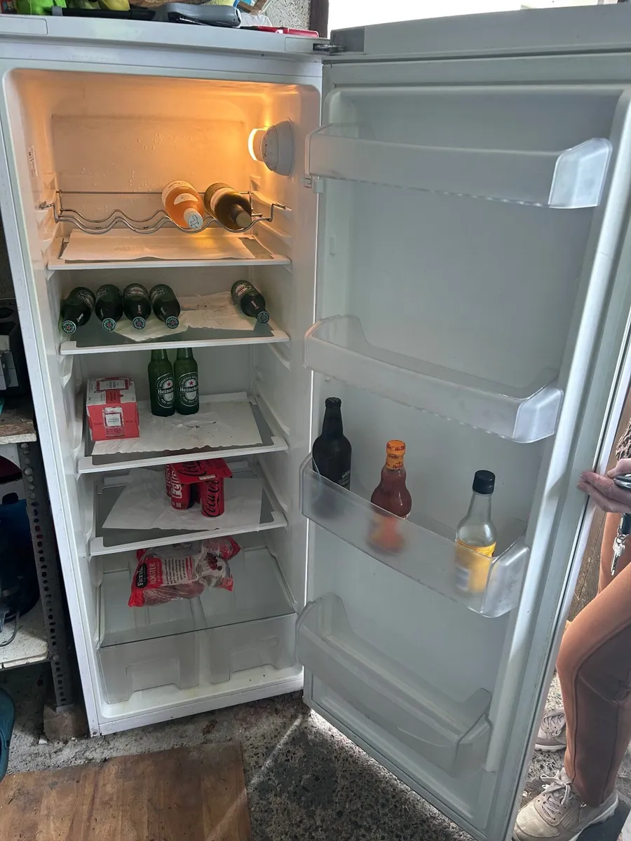 Tall Larder fridge and large chest freezer - Image 3