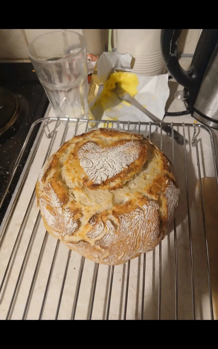 Home baked loafs of bread