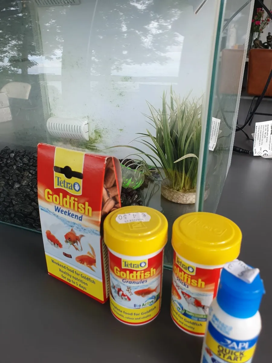 Fish Tank - One Previous Occupant! - Image 2