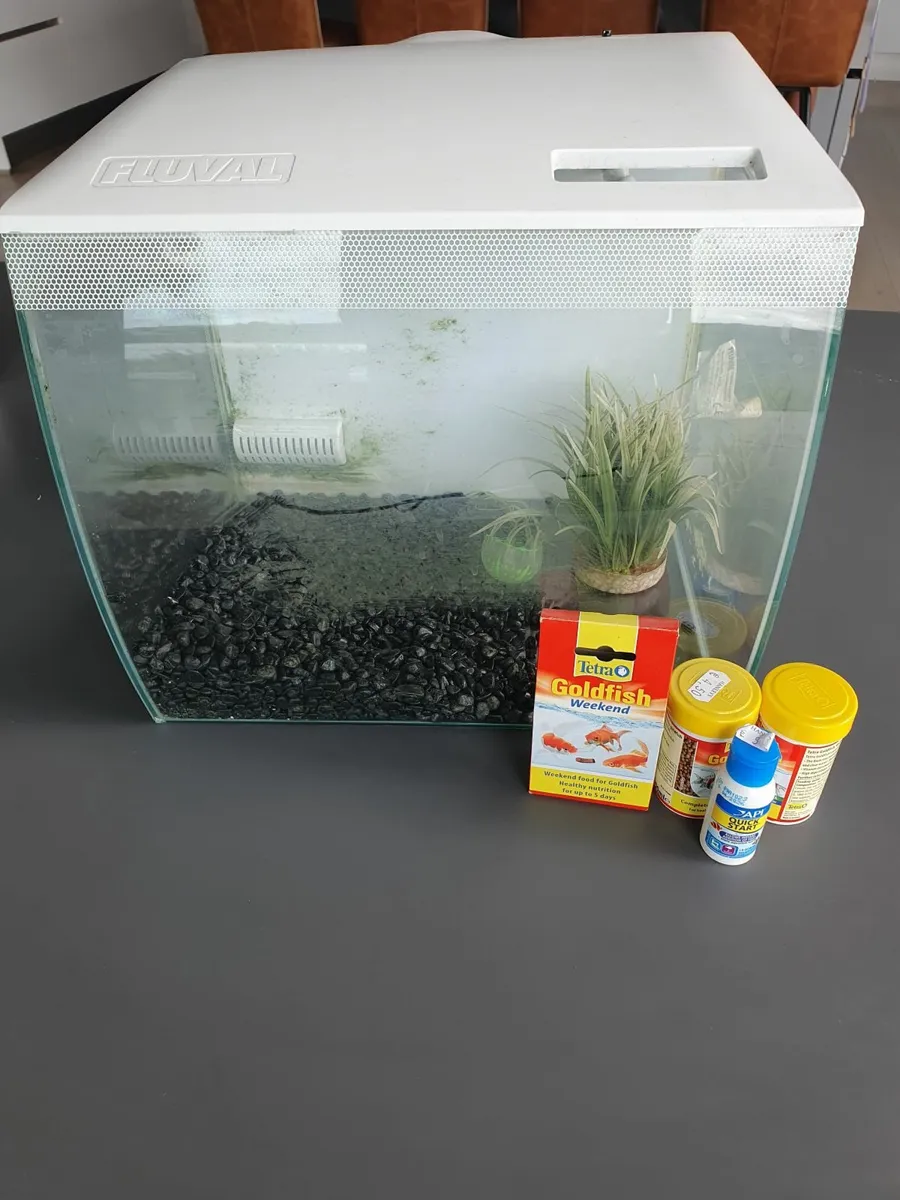 Fish Tank - One Previous Occupant! - Image 1