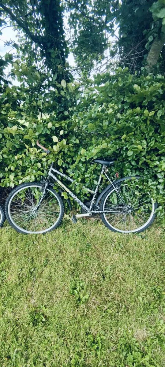 Bikes & Scooter - Image 1