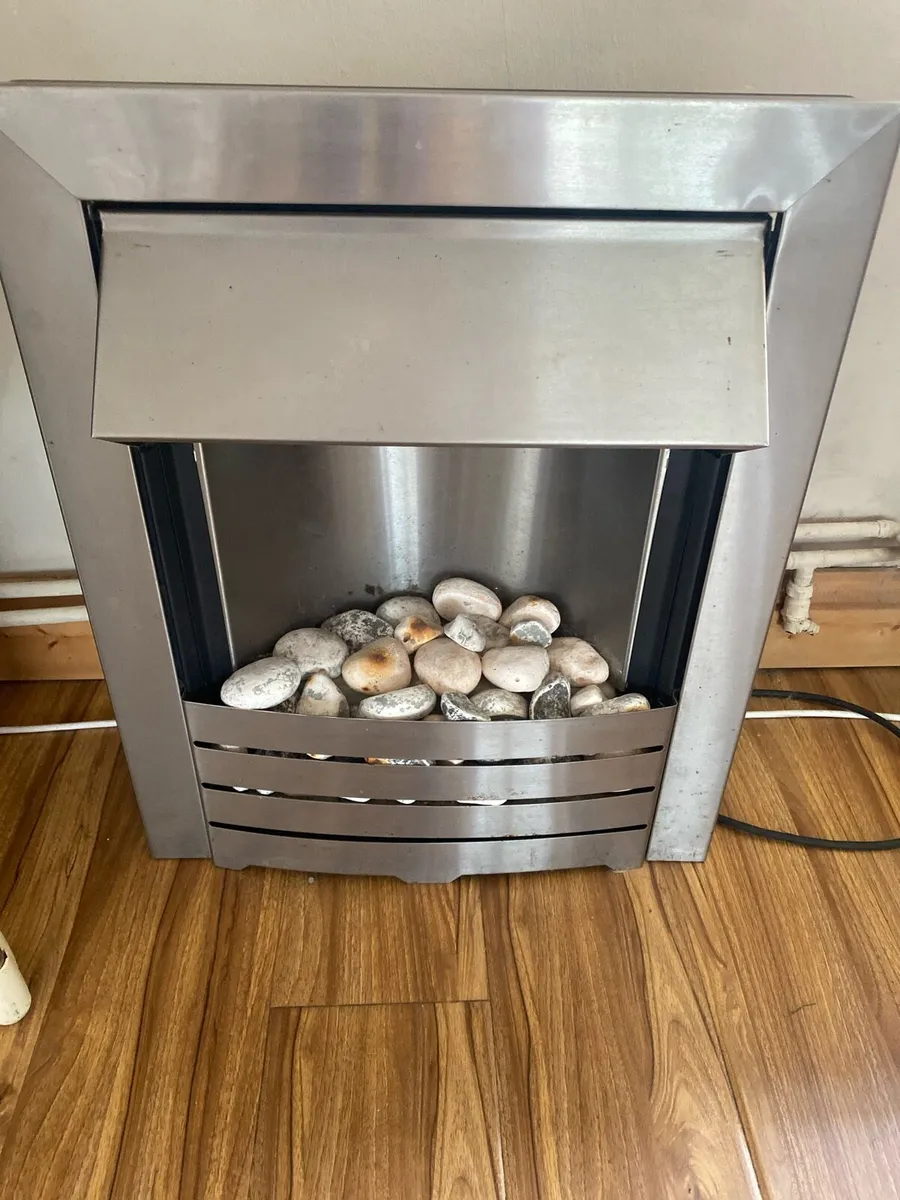 Electric fire