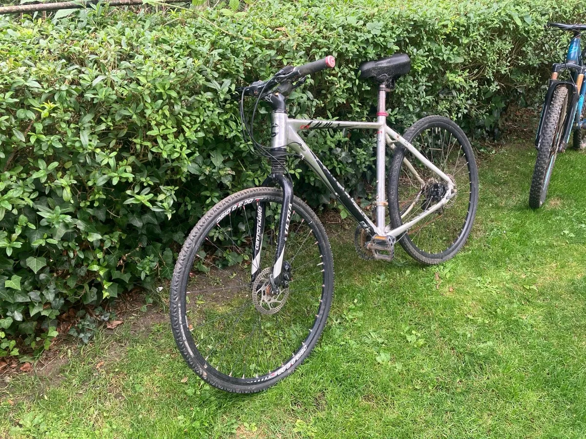 Bike - Image 2
