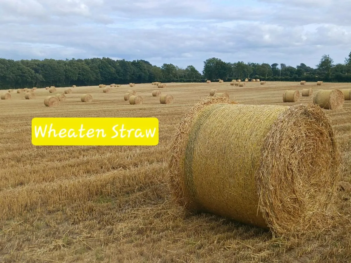 Straw