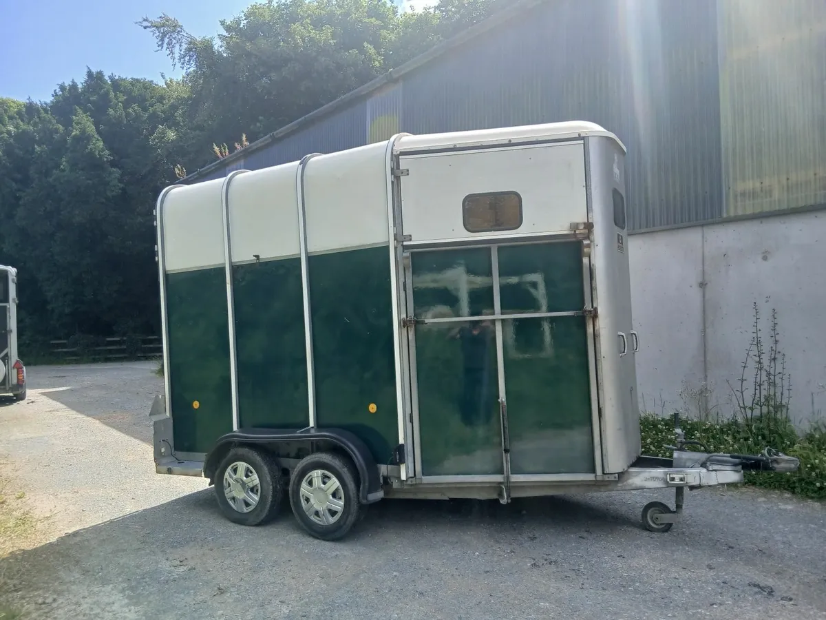 Horse - Image 1