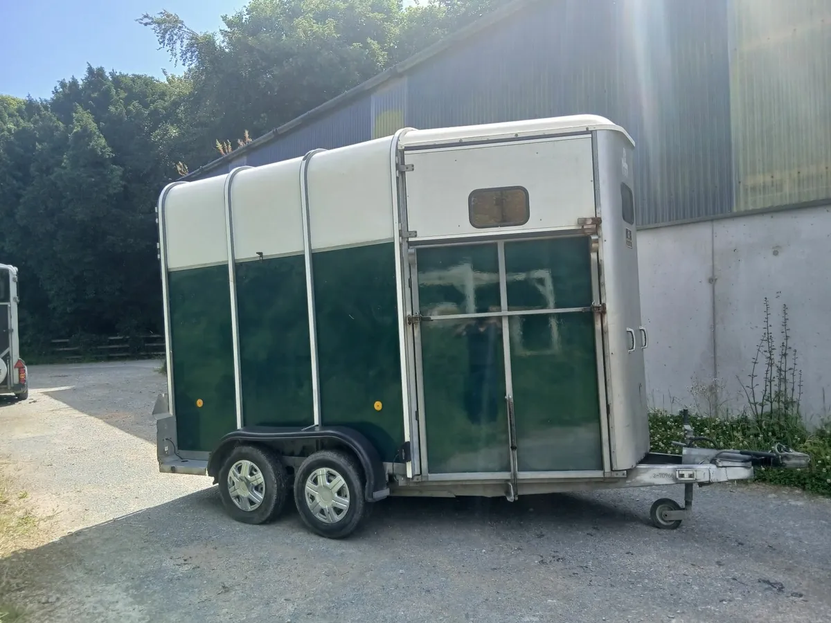 Horse - Image 2