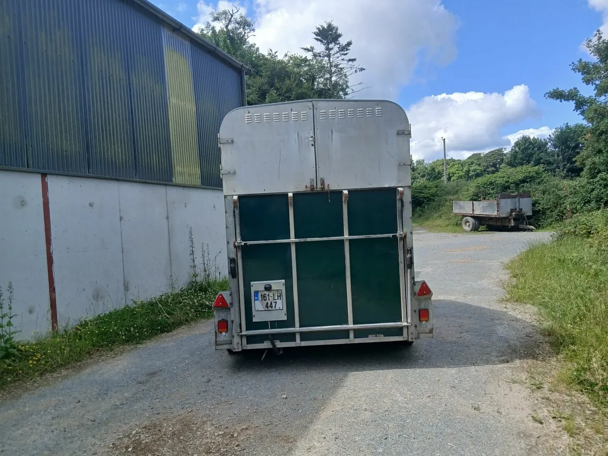 Horse - Image 3