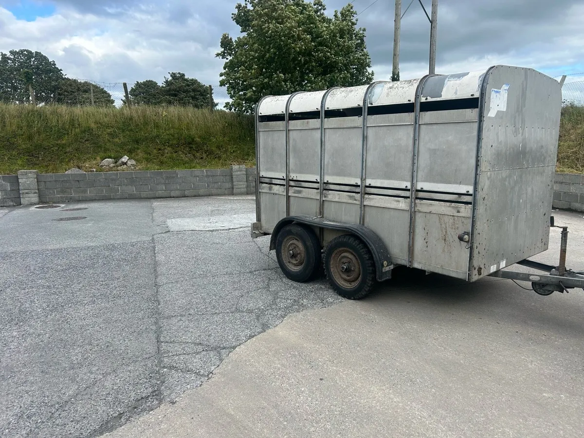 Ifor Williams ten by six cattle trailer - Image 1
