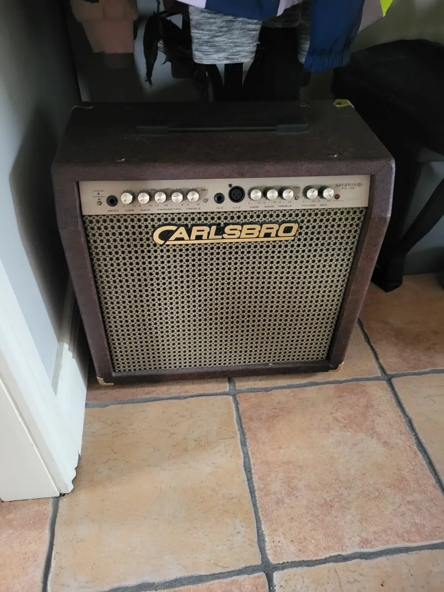 Amplifier - Image 2