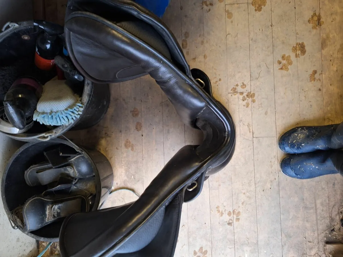 Berney Brothers Horse Riding Saddle 17"GP - Image 4