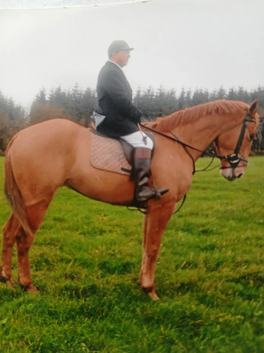 Hunting Horse - Image 2