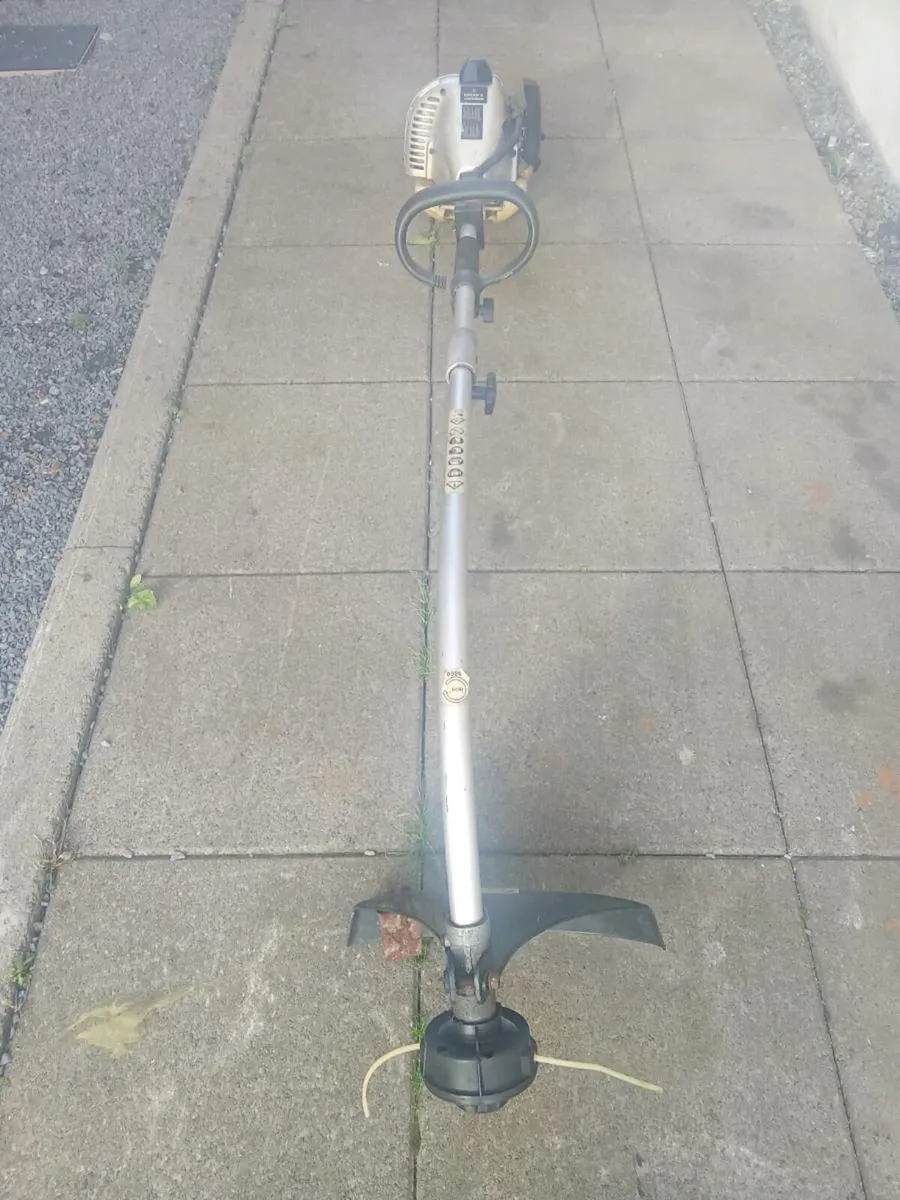 Strimmer - Image 2