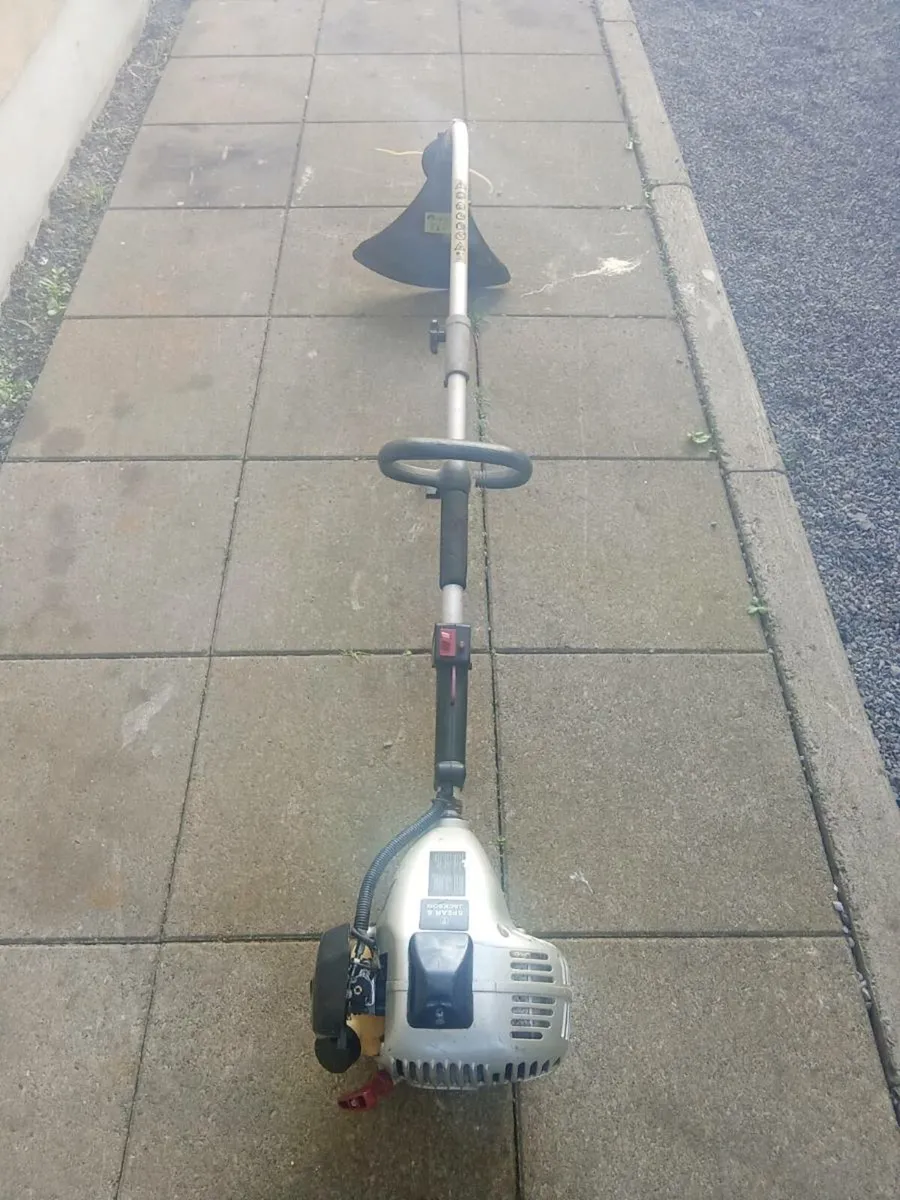 Strimmer - Image 3