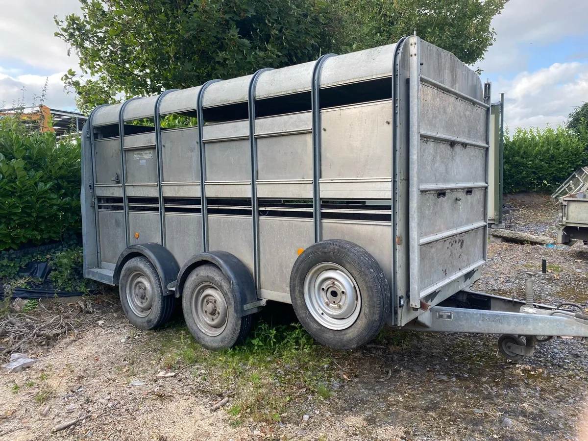 Ivor Williams cattle trailer - Image 1
