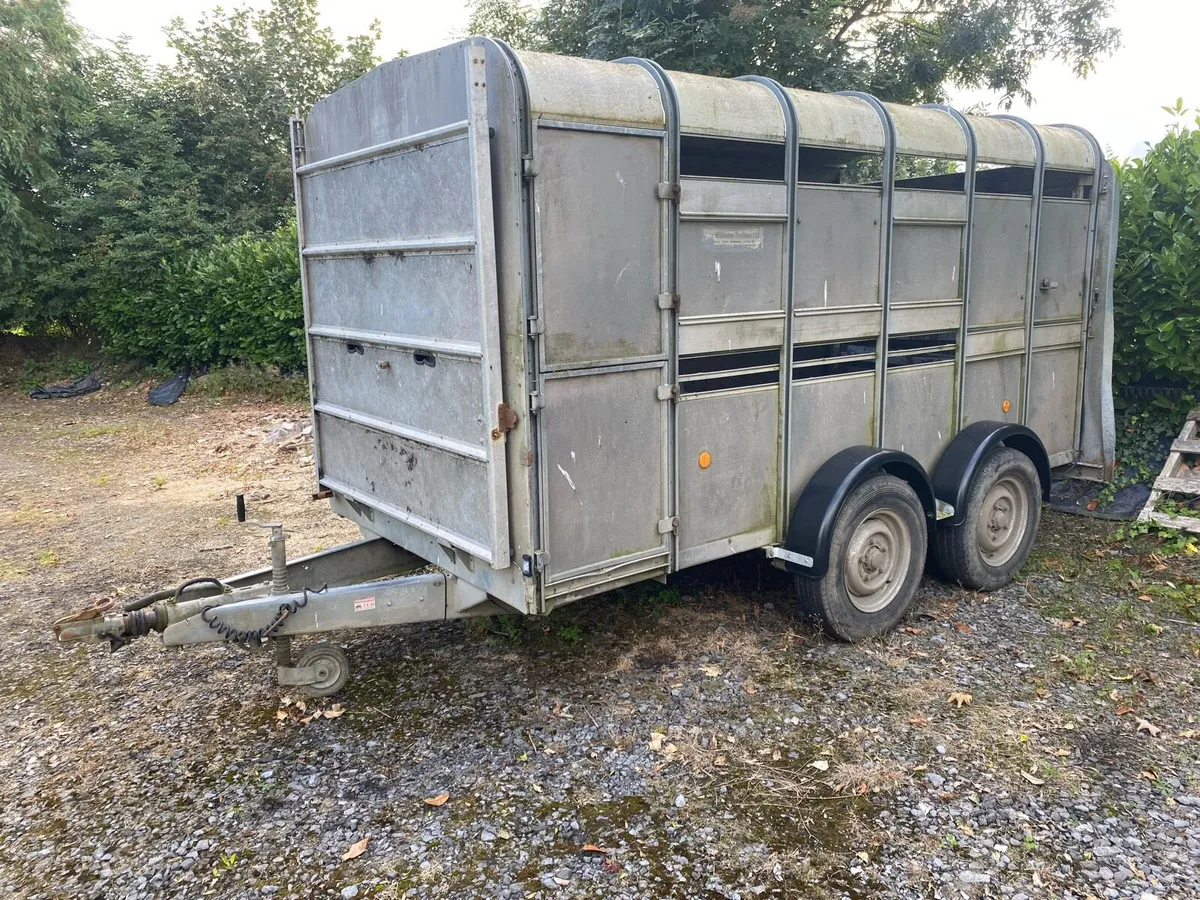 Ivor Williams cattle trailer - Image 2